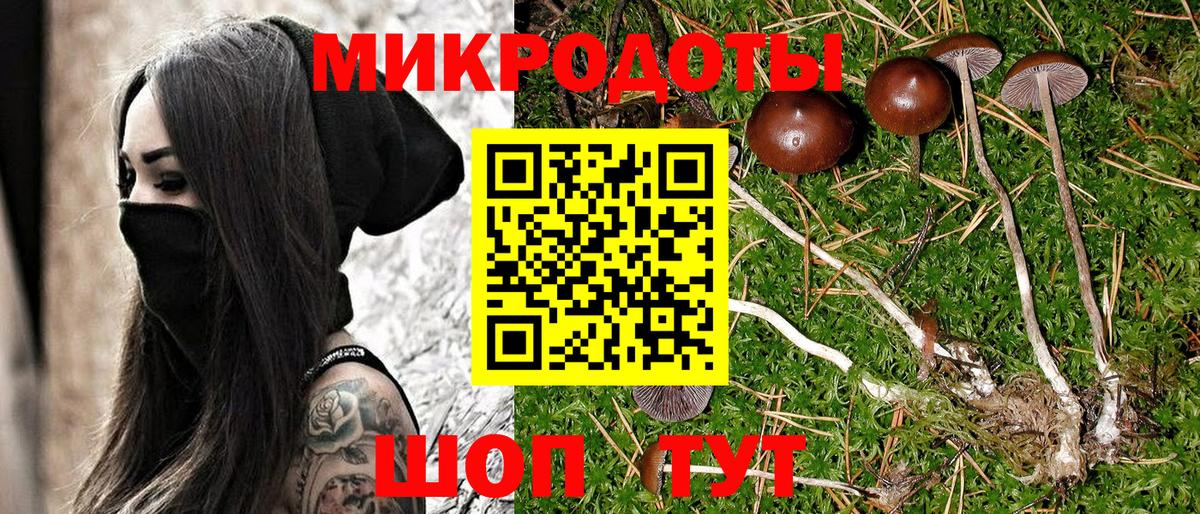 Губаха  Псилоцибиновые грибы GOLDEN TEACHER  Вход с VPN  Галлюциногенные грибы Cubensis 
