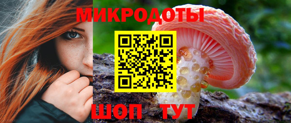 Псилоцибиновые грибы Psilocybine cubensis Губаха
